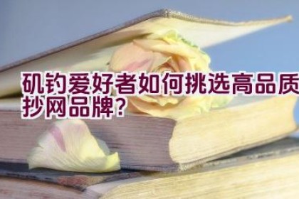 矶钓爱好者如何挑选高品质抄网品牌？