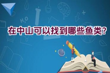 在中山可以找到哪些鱼类？