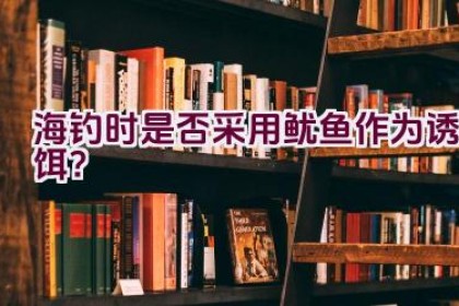 海钓时是否采用鱿鱼作为诱饵？