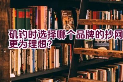 矶钓时选择哪个品牌的抄网更为理想？