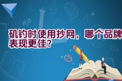 矶钓时使用抄网，哪个品牌表现更佳？