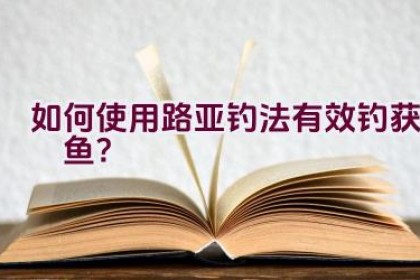 如何使用路亚钓法有效钓获鳡鱼？