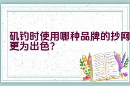 矶钓时使用哪种品牌的抄网更为出色？