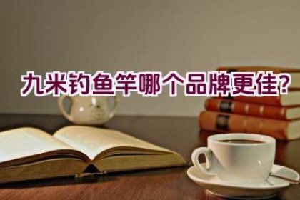 九米钓鱼竿哪个品牌更佳？