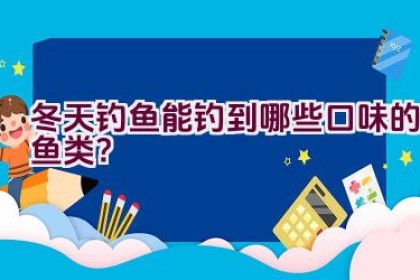 冬天钓鱼能钓到哪些口味的鱼类？