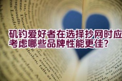 矶钓爱好者在选择抄网时应考虑哪些品牌性能更佳？