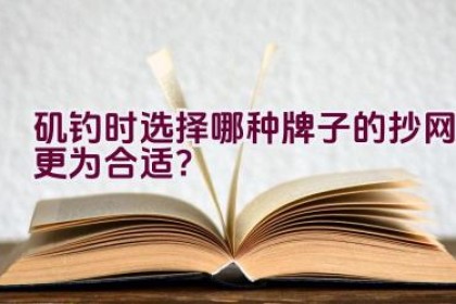 矶钓时选择哪种牌子的抄网更为合适？