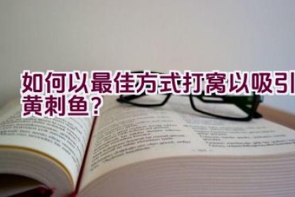 如何以最佳方式打窝以吸引黄刺鱼？