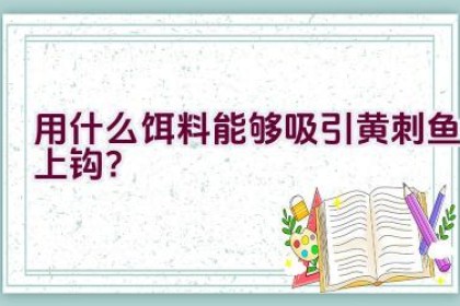 用什么饵料能够吸引黄刺鱼上钩？