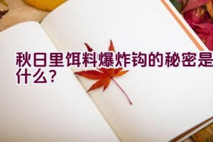 秋日里饵料爆炸钩的秘密是什么？