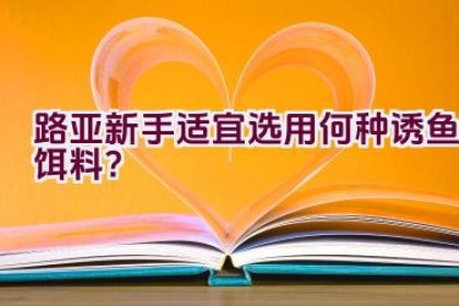 路亚新手适宜选用何种诱鱼饵料？