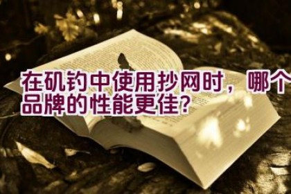 在矶钓中使用抄网时，哪个品牌的性能更佳？