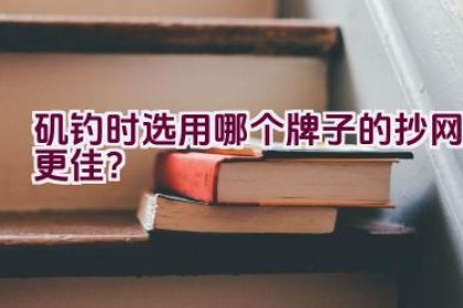 矶钓时选用哪个牌子的抄网更佳？