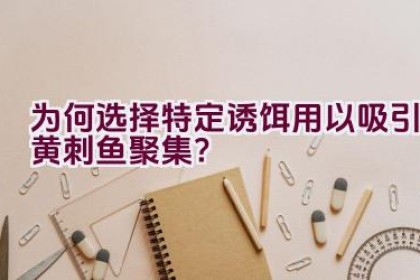 为何选择特定诱饵用以吸引黄刺鱼聚集？