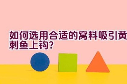 如何选用合适的窝料吸引黄刺鱼上钩？