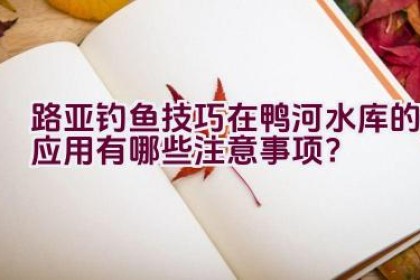 路亚钓鱼技巧在鸭河水库的应用有哪些注意事项？