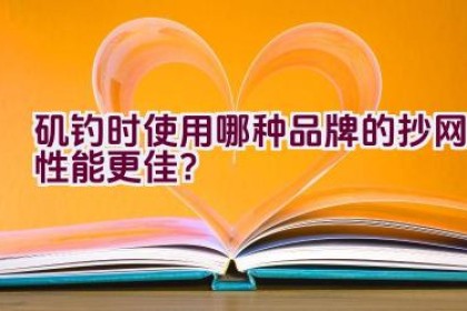 矶钓时使用哪种品牌的抄网性能更佳？