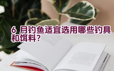 6月钓鱼适宜选用哪些钓具和饵料？插图