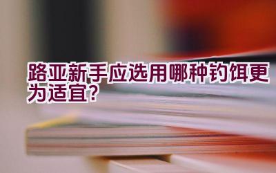 路亚新手应选用哪种钓饵更为适宜?插图 路亚新手应选用哪种钓饵更为适宜?插图
