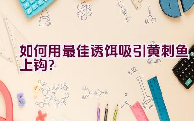 如何用最佳诱饵吸引黄刺鱼上钩？插图