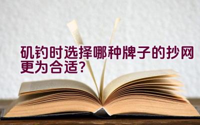 矶钓时选择哪种牌子的抄网更为合适？插图