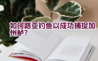 如何路亚钓鱼以成功捕捉加州鲈?插图 如何路亚钓鱼以成功捕捉加州鲈?插图