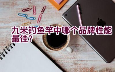 九米钓鱼竿中哪个品牌性能最佳？插图