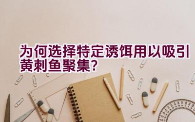 为何选择特定诱饵用以吸引黄刺鱼聚集？插图